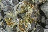 Chalcopyrite, Galena & Dolomite - Sweetwater Mine #103824-3